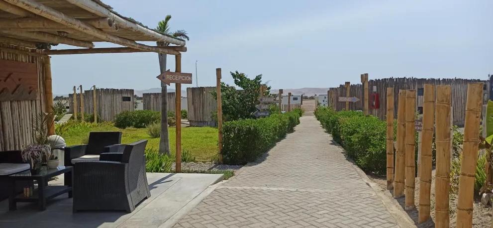 Sole Paracas Bagian luar foto